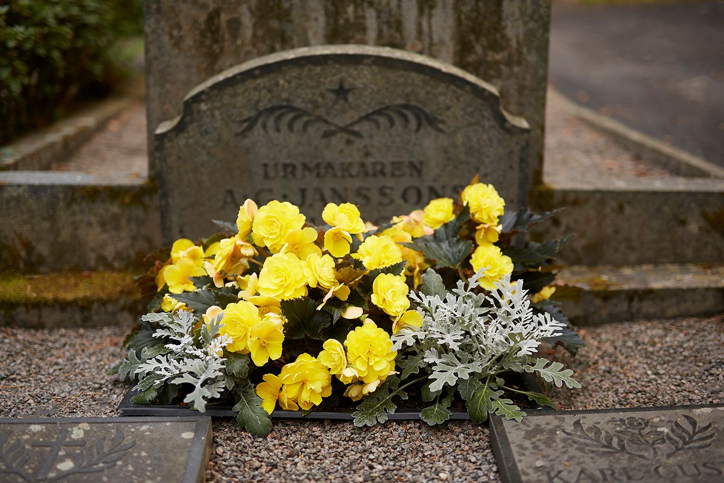 Blomlåda Emperi original 30x30 - 2