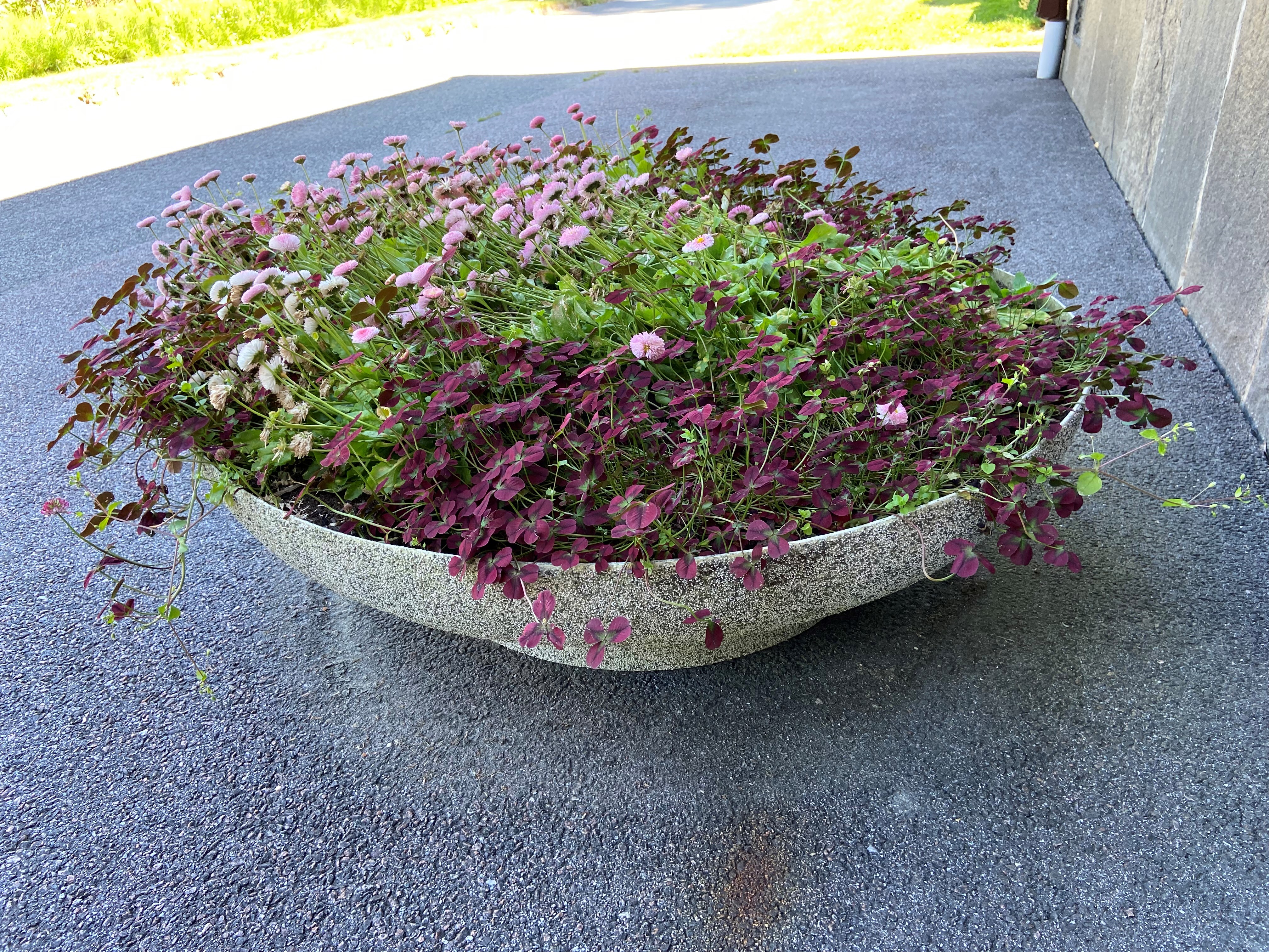 Blomlåda Oas 80, diameter 800 mm - 5