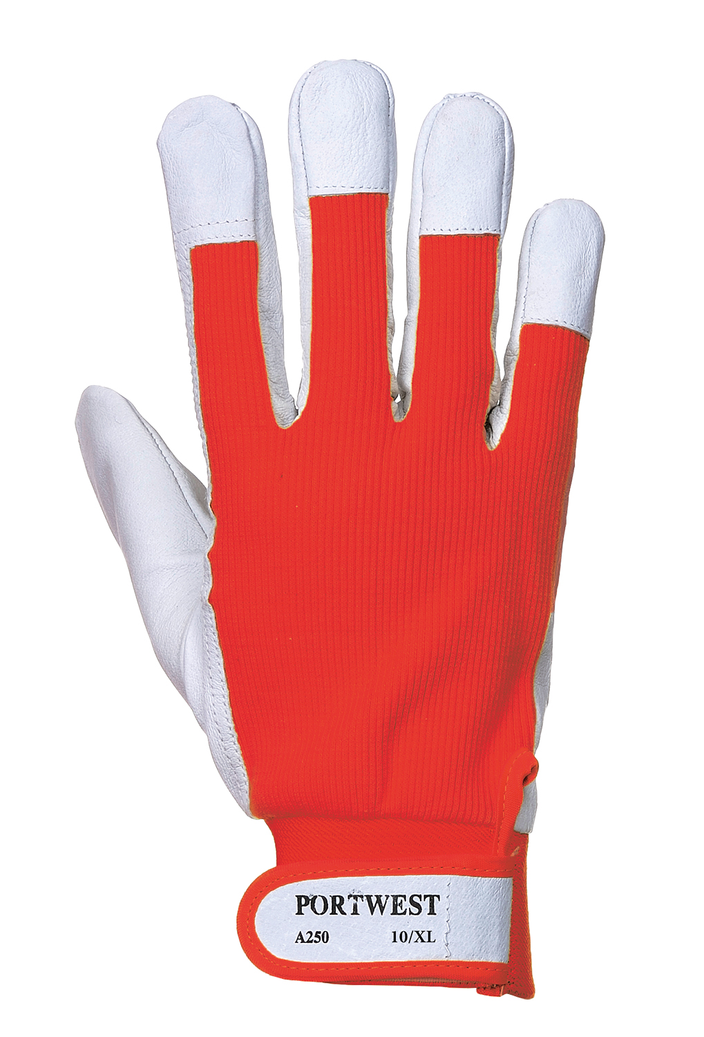Tergus Glove - 4