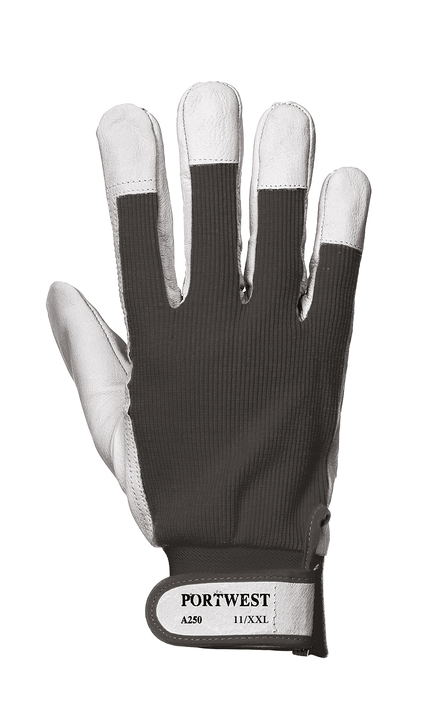 Tergus Glove - 2