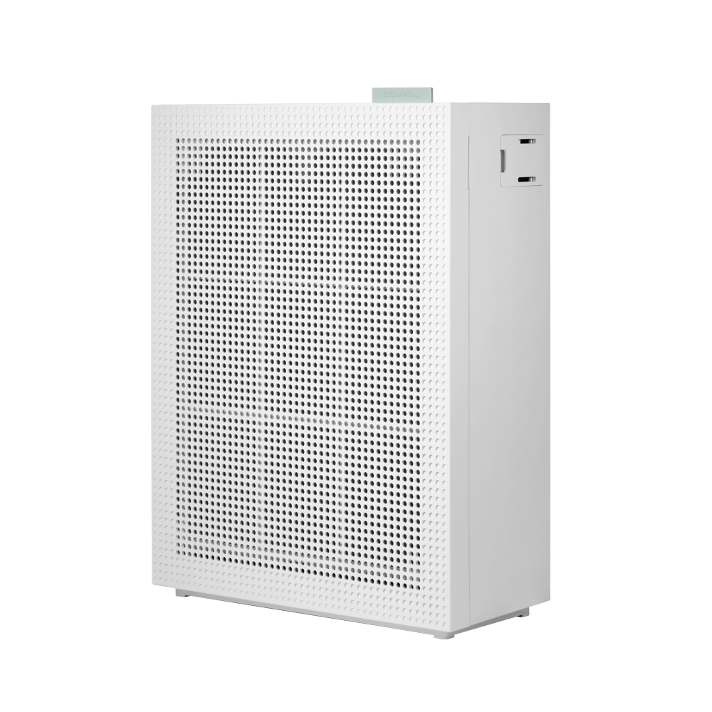 Coway AP-1019C