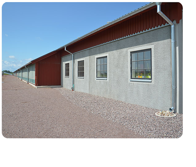 Stallfönster och Ladugårdsfönster