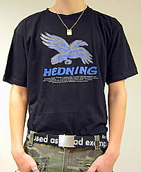 Hedning