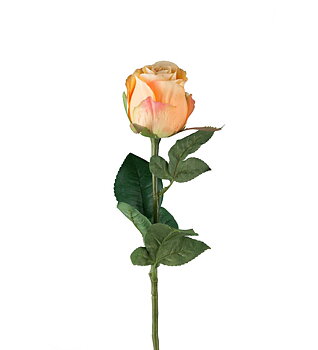 Sidenblomma Ros Gul
