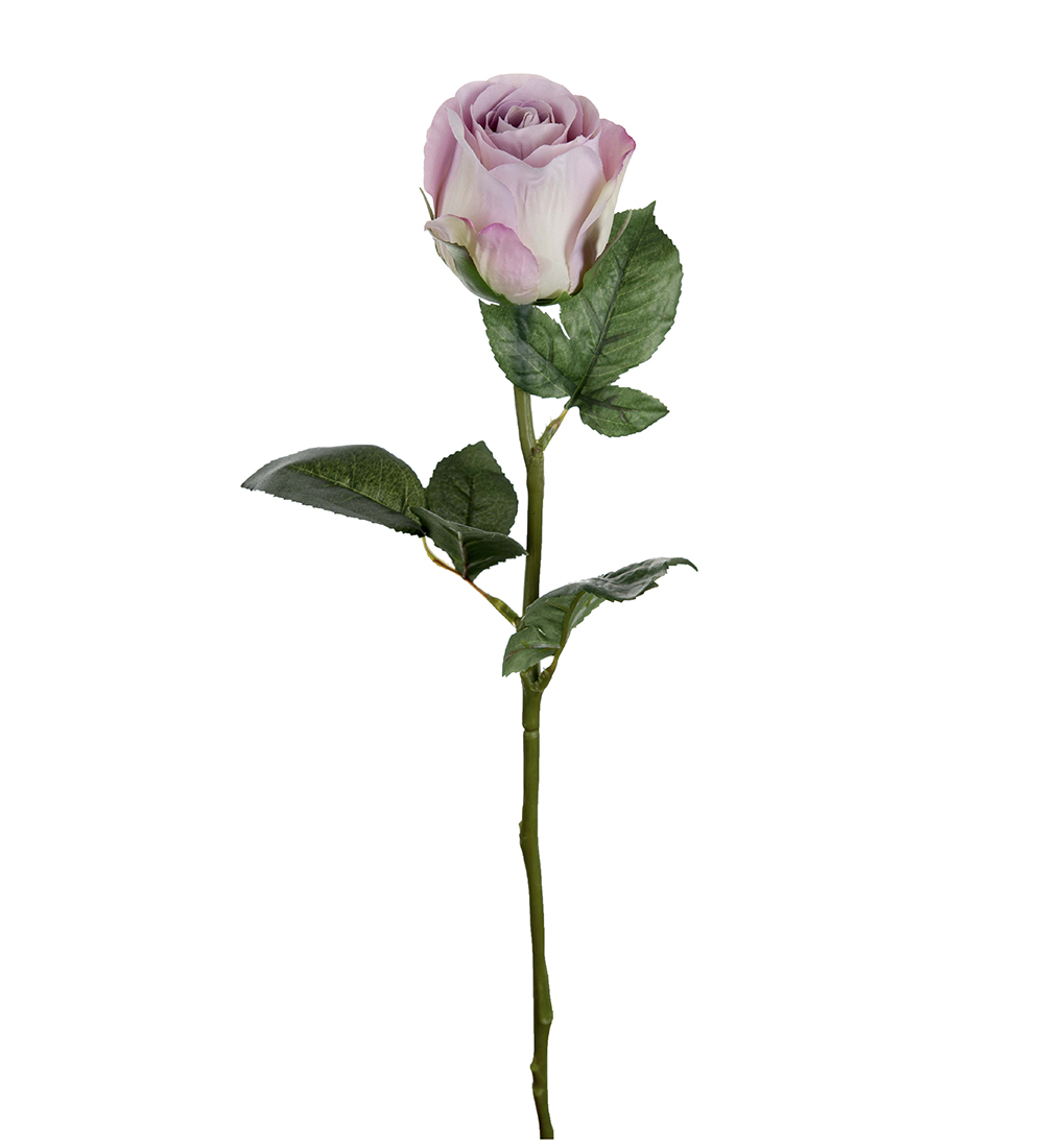 Sidenblomma Ros Lila