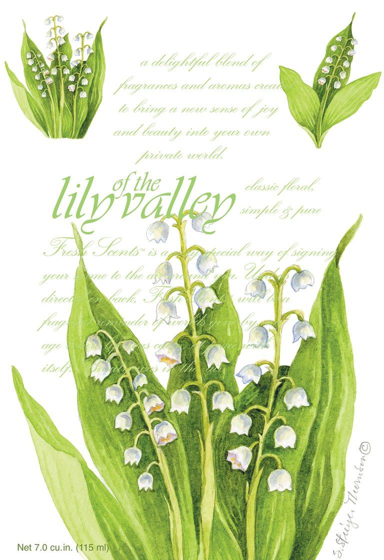 Doftpåse Fresh Scents Lily Of The Valley