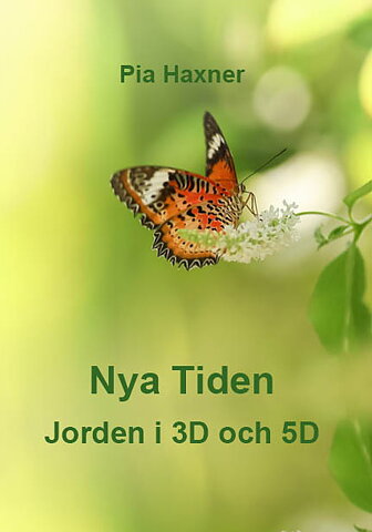 Nya Tiden   Jorden i 3D och 5D