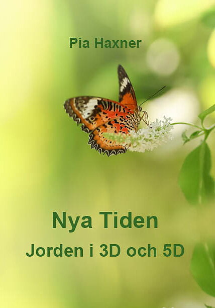 Nya Tiden   Jorden i 3D och 5D