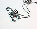Halsband skorpion