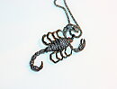 Halsband skorpion