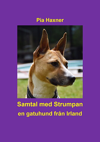 Samtal med Strumpan.