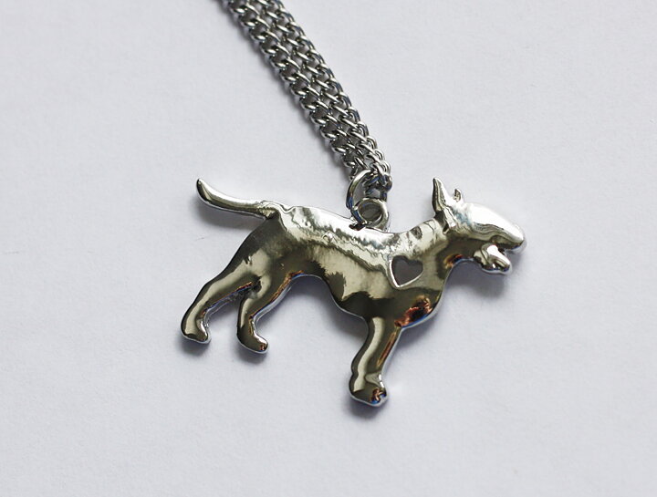 Halsband Bullterrier 