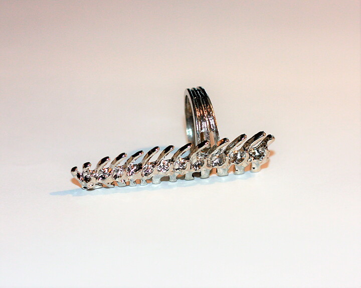 Spine ring stl 16,5