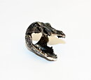 Flodhäst ring stl 16,5