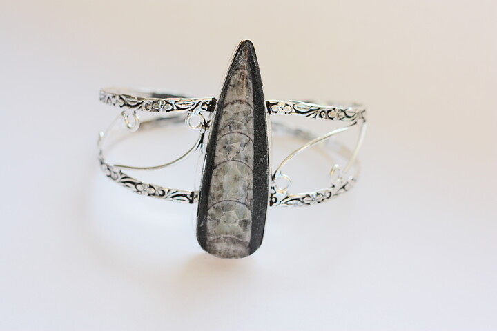 Stelt armband med ortoceratit fossil