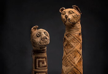 Kattmumier