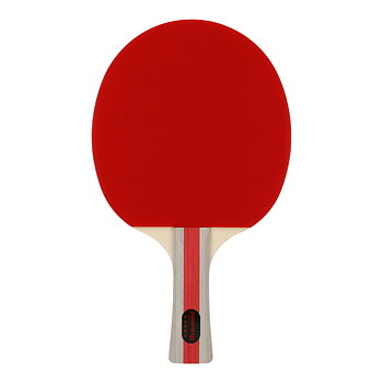 Racket Dynamic Racket 5* Bordtennisracket