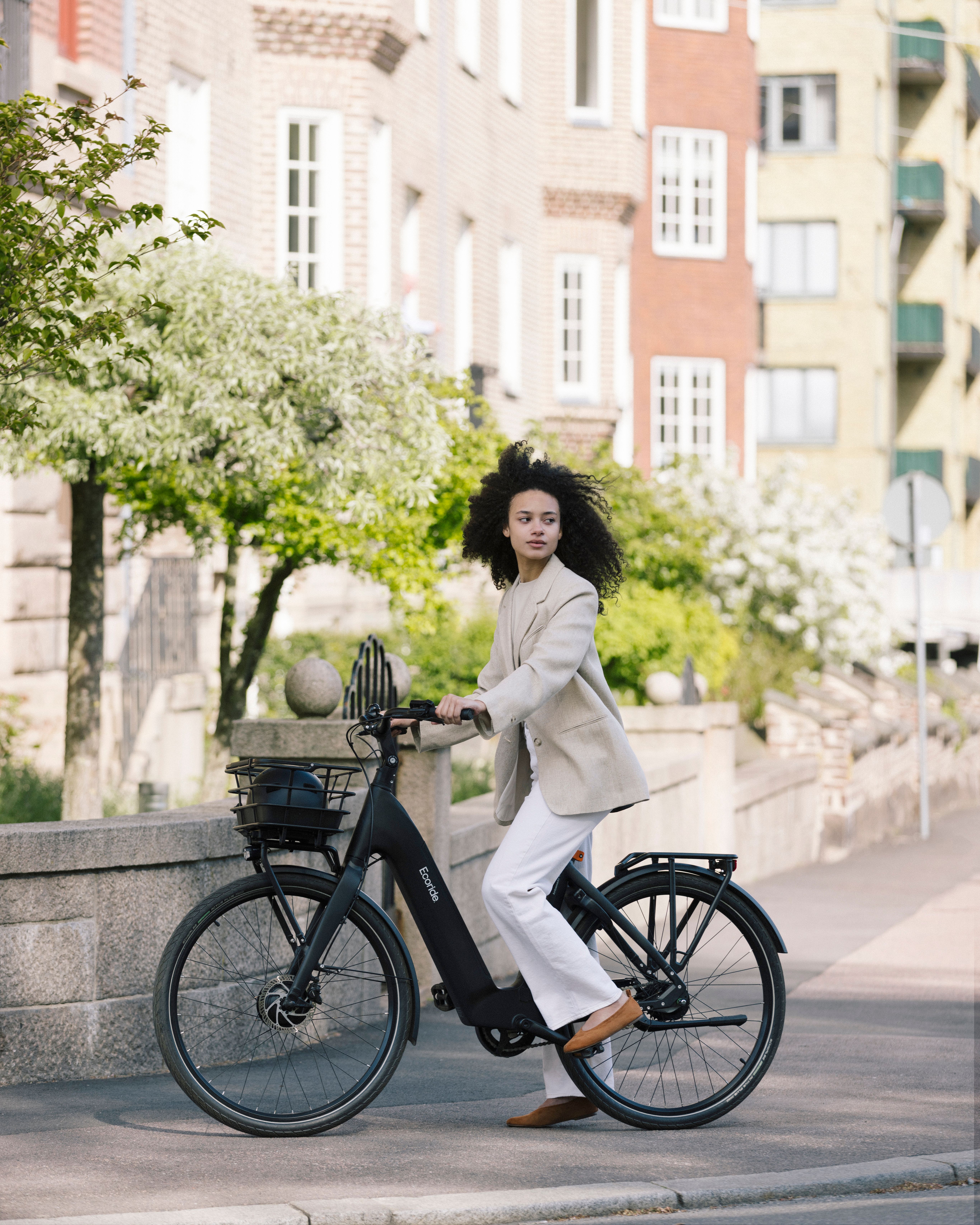 Ecoride Ambassador 4, Hub Chain Coaster El-Cykel - 4