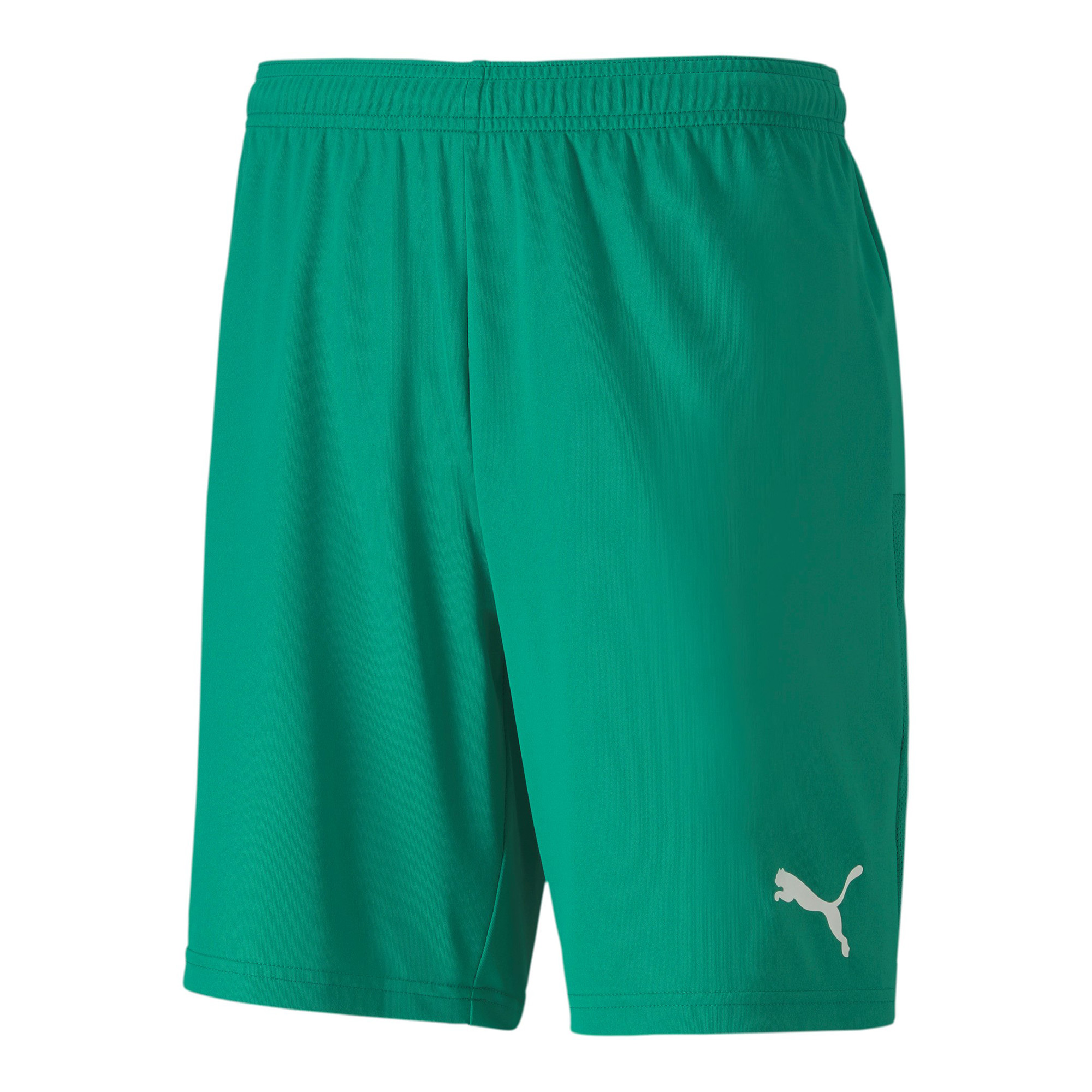 Puma Teamgoal Shorts Jr(KSK)