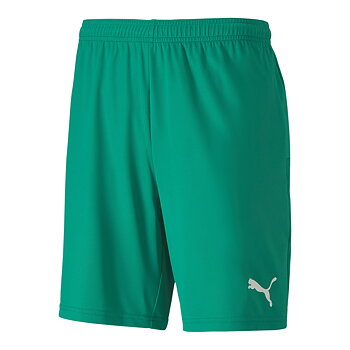 Puma Teamgoal Shorts Jr(KSK)