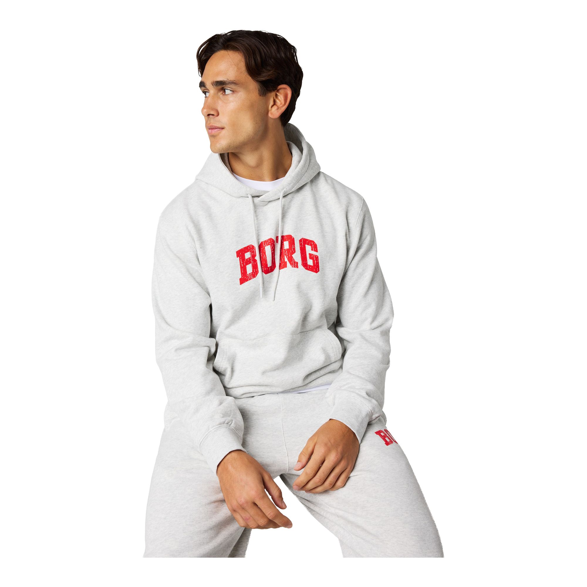 Björn Borg Borg Classic Print Hoodie Huvtröja - 4