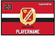 Linden Hockey Skridskomatta