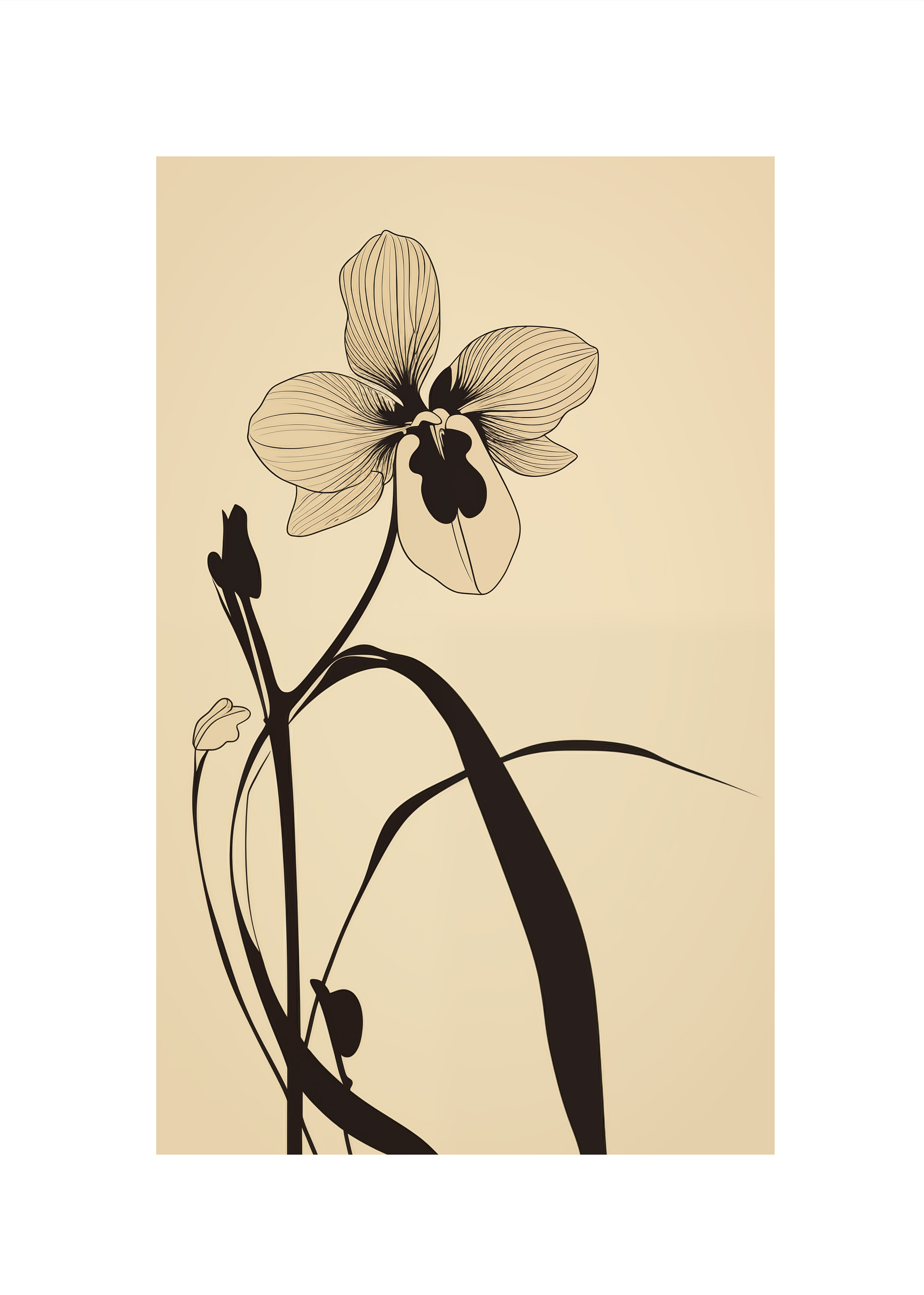 Dark Orchid - Poster - 2