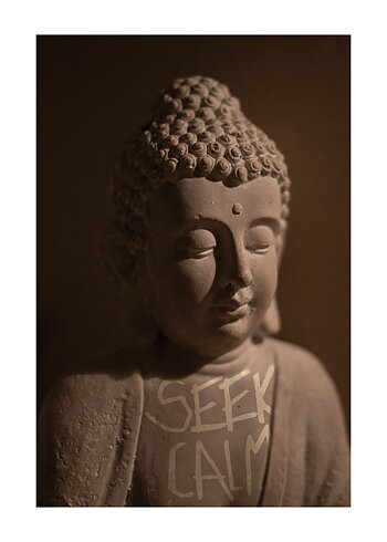 Seek Calm - Poster