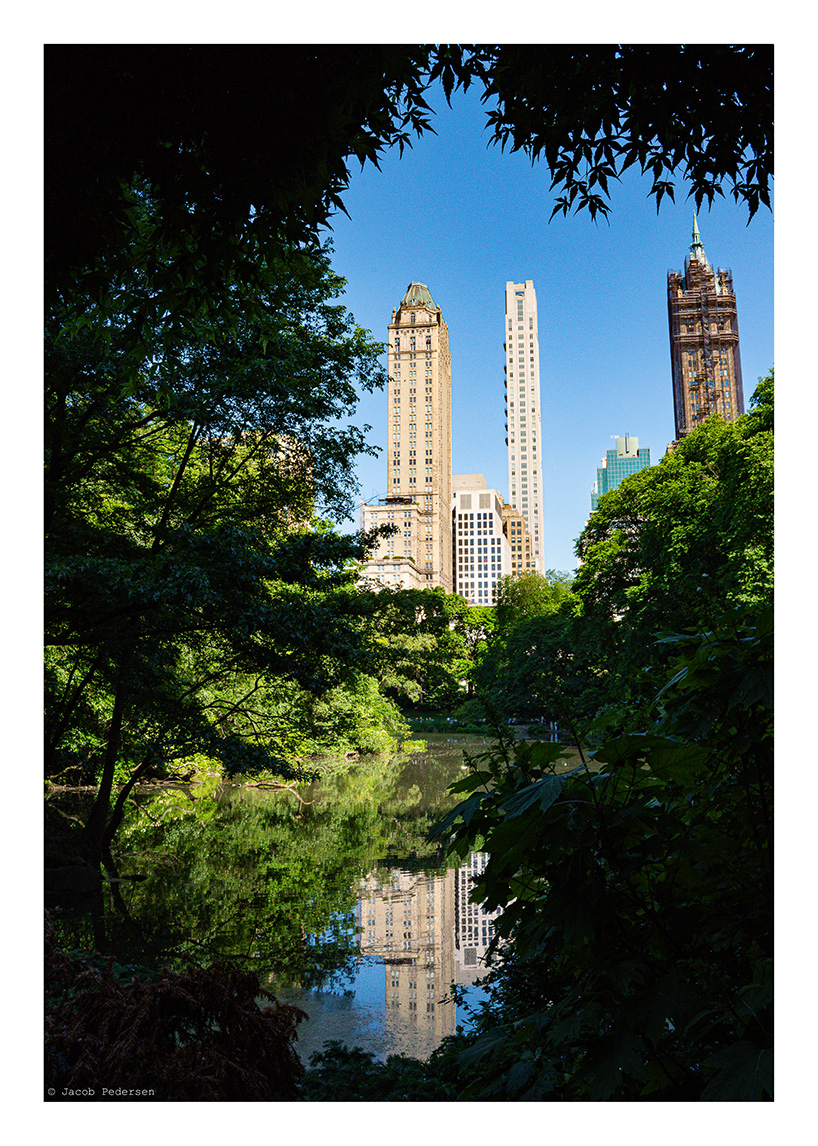 Ny 5Th Park - Poster - 2