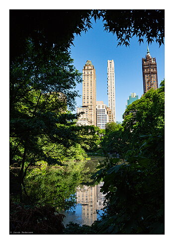 Ny 5Th Park - Poster