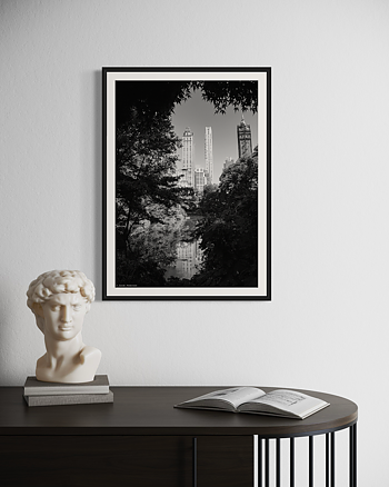 Ny 5Th Park Sv - Poster