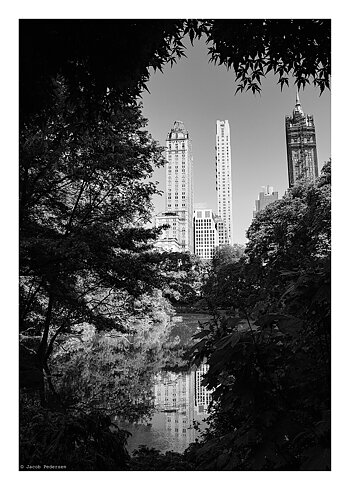 Ny 5Th Park Sv - Poster