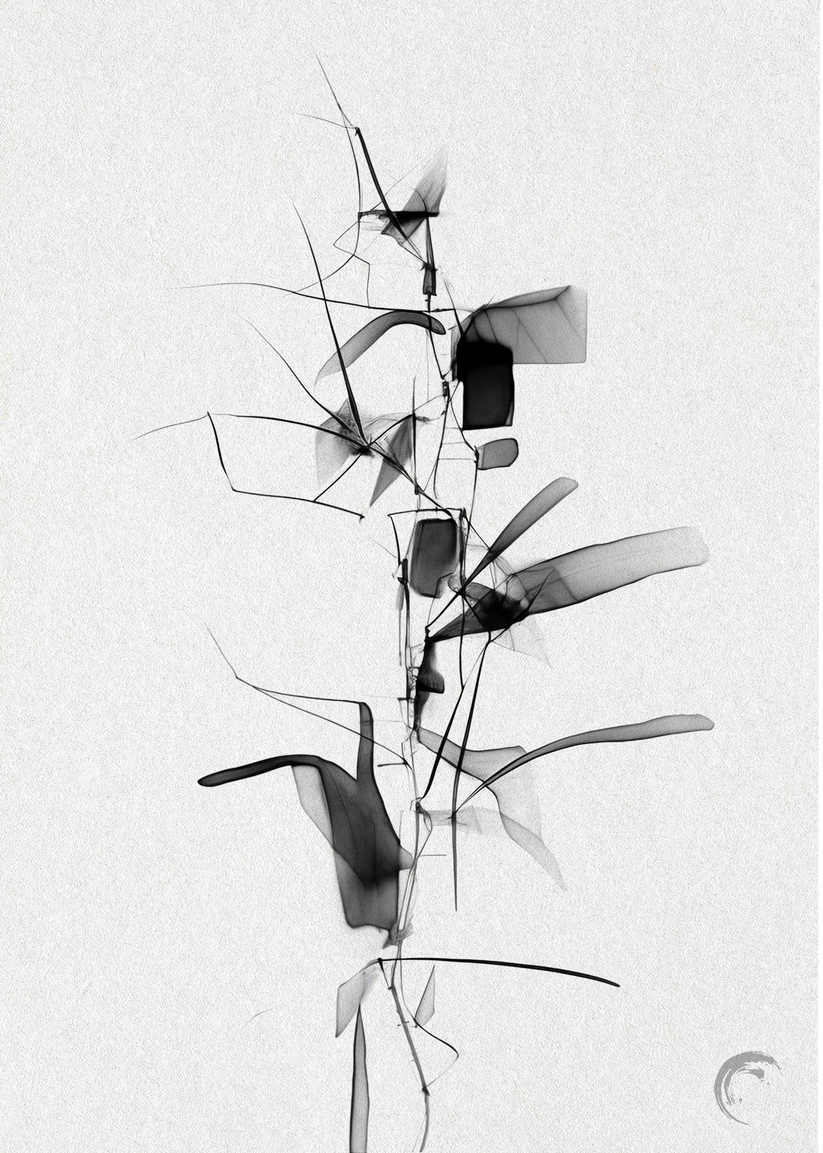 Line Swirl - Poster - 2