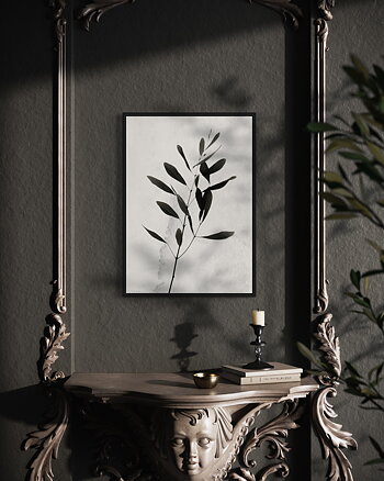 X-Ray Branch - Poster