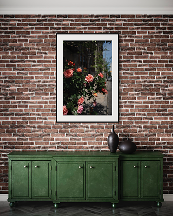 Ny Urban Roses - Poster