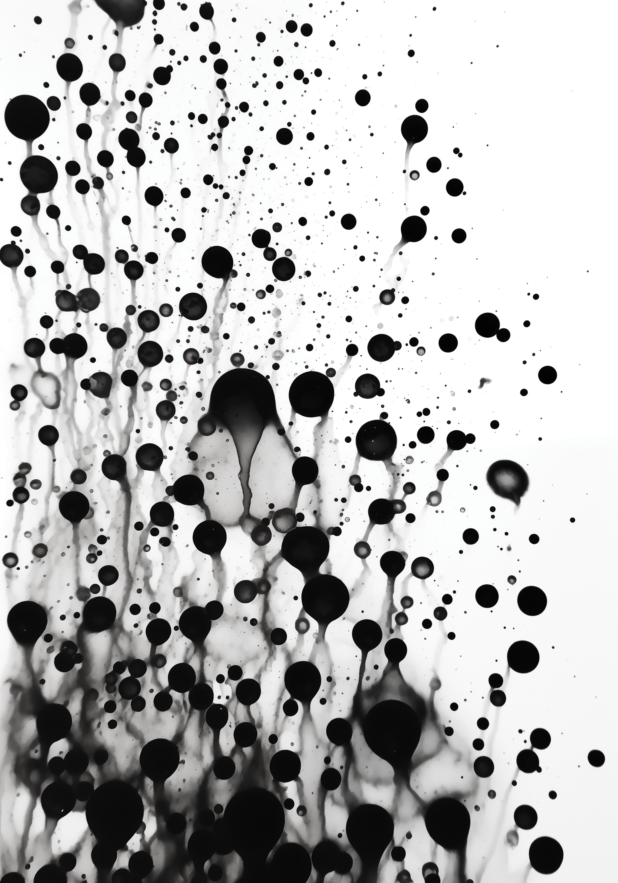 Black Water No1 - Poster - 2