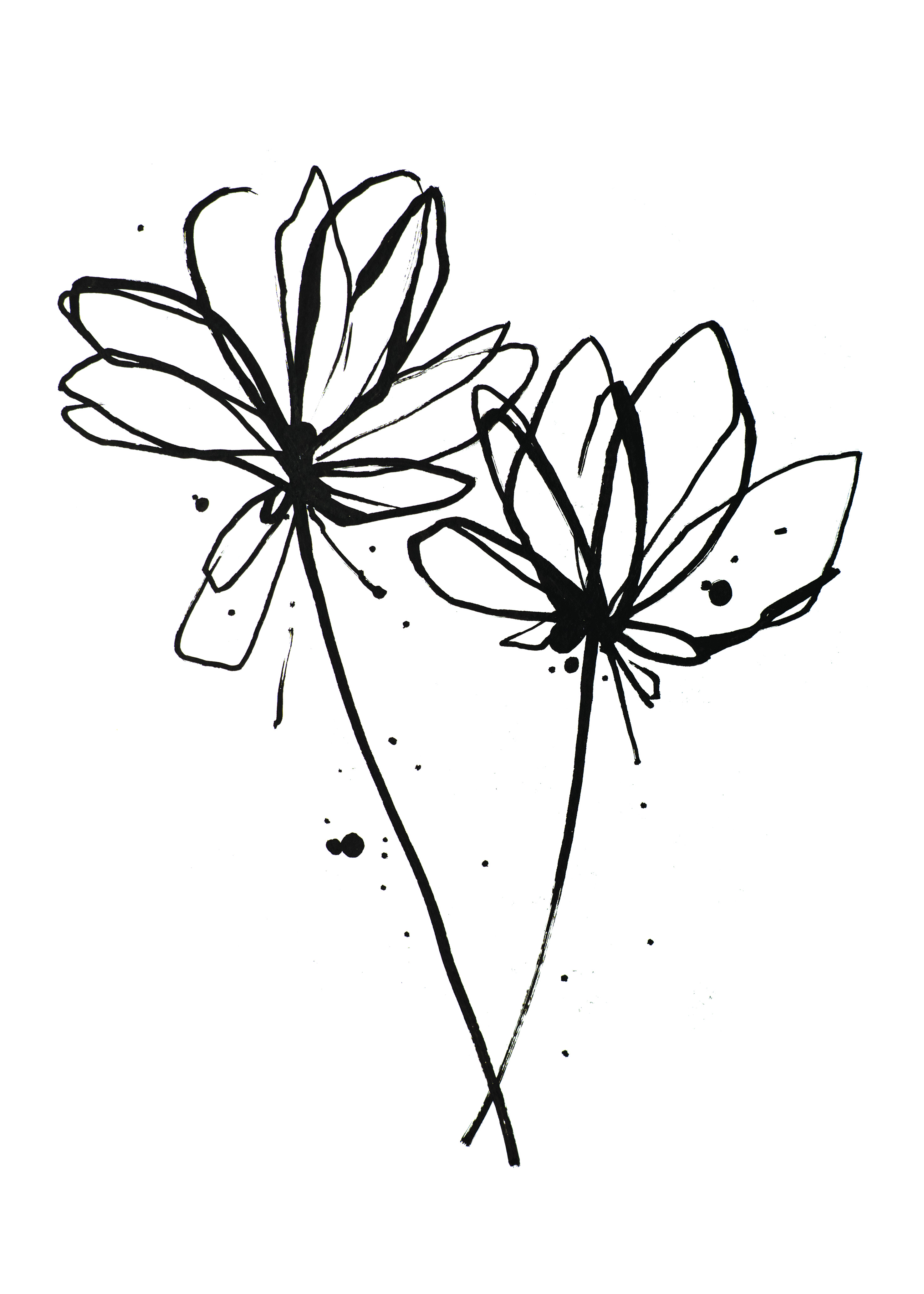 Flowers - Poster - 2
