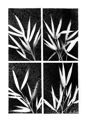 X-Ray Paint No1 - Poster