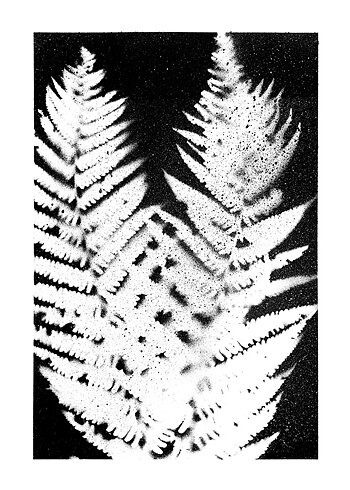X-Ray Paint No2 - Poster