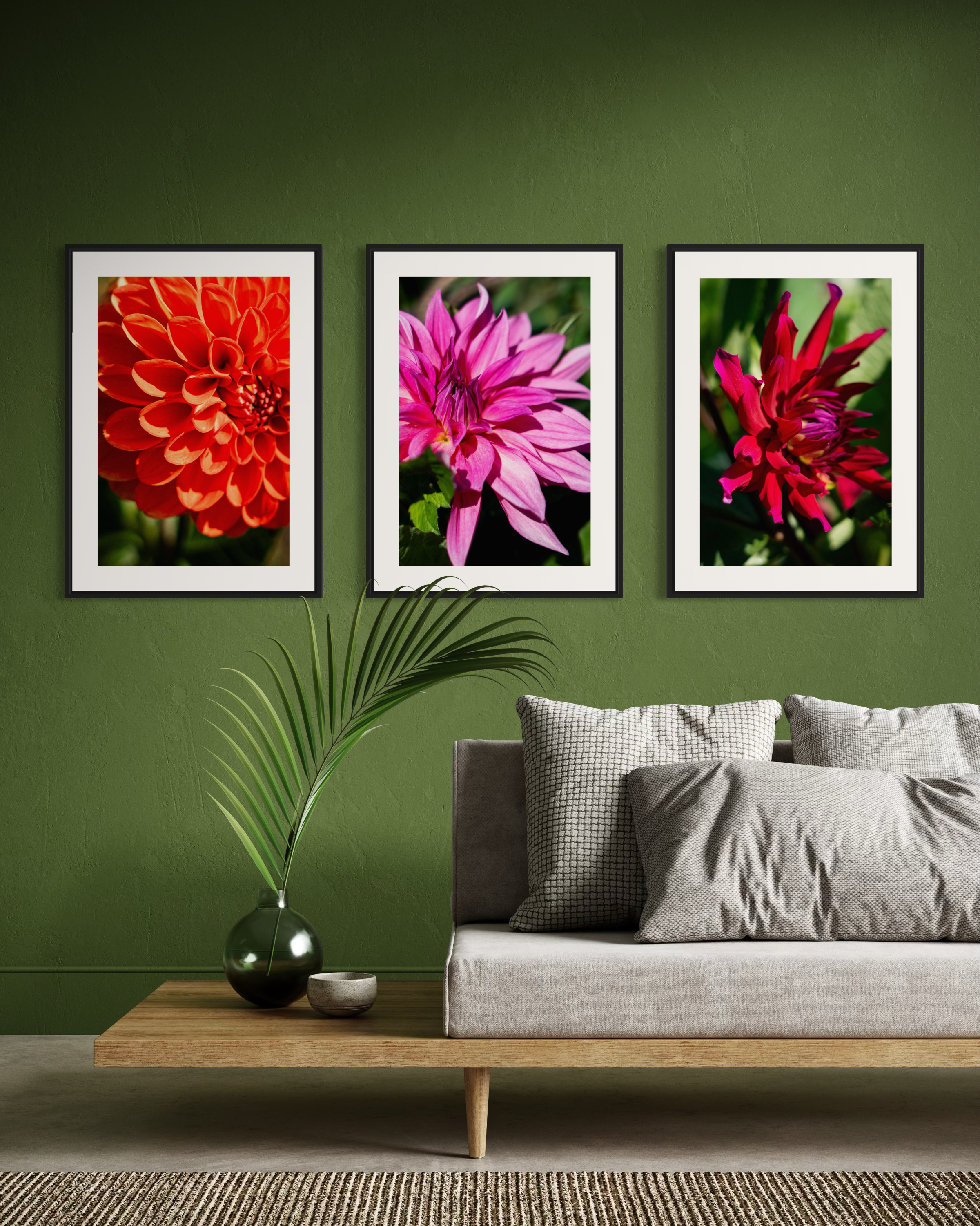 Orange Chrysanthemum - Poster - 3