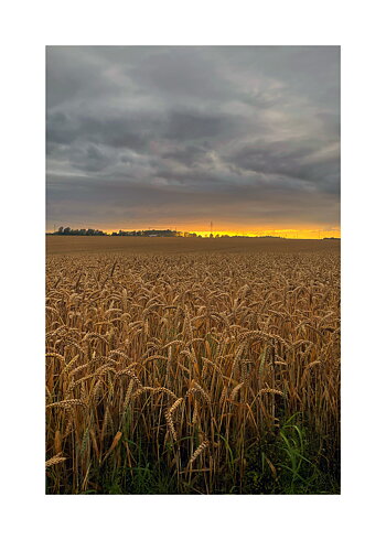 Sunline - Poster