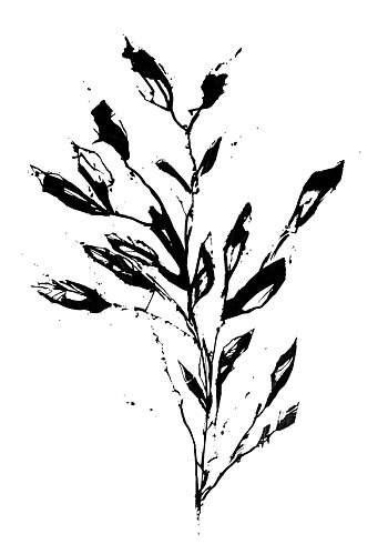 Inker leaf - Poster