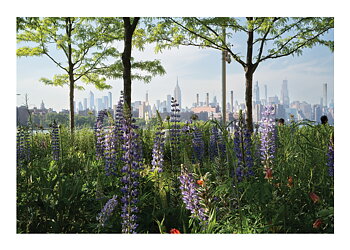 Ny Skyline Flowers - Poster