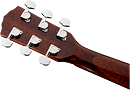 Fender® CD-60S All Mahogany