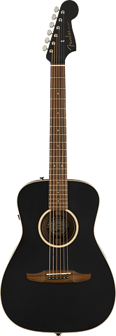 Fender Malibu Special, med miksystem och bag.