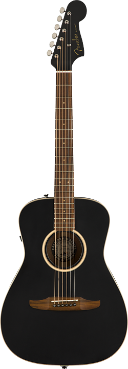 Fender Malibu Special, med miksystem och bag.