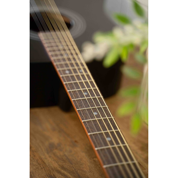 Cort AD810BKS