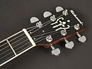 Richwood RMB-606 Gitarrbanjo 6-strängad Master Series 