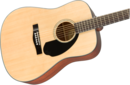 Fender CD-60S Dread Nat WN