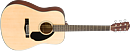 Fender CD-60S Dread Nat WN